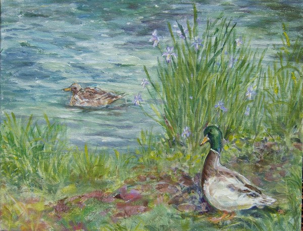 ducks in a pond (plein air painting)