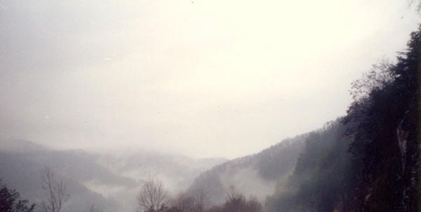 Smokies