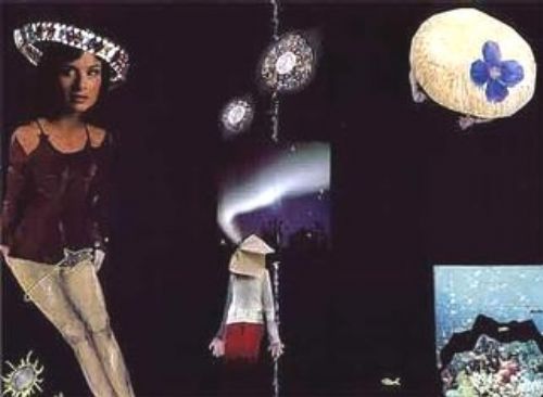 collage1