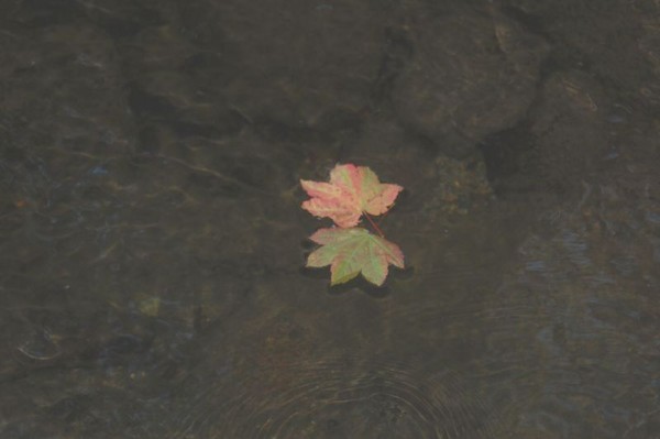 floating away