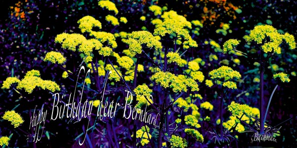 Happy Birthday dear Bernhard !