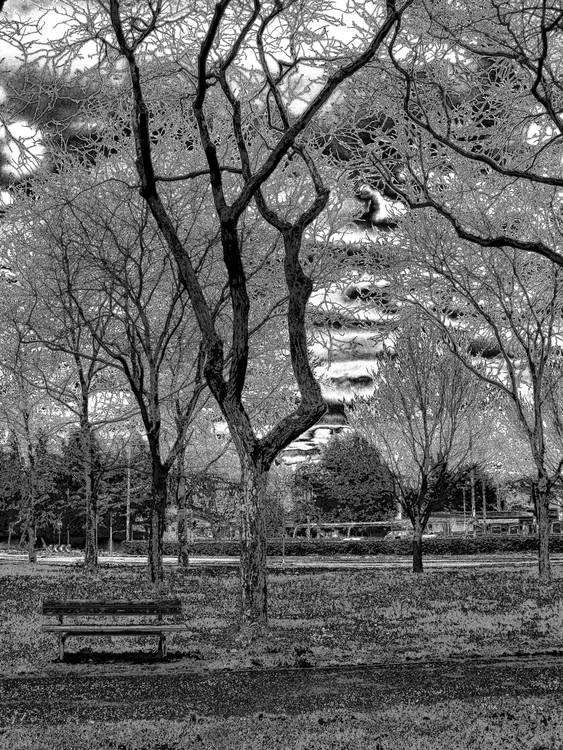  At the park in black and white