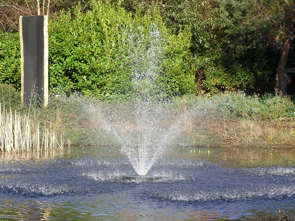 Fountain - Djanogly