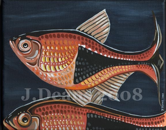 Harlequin Rasbora (Tetra Series)