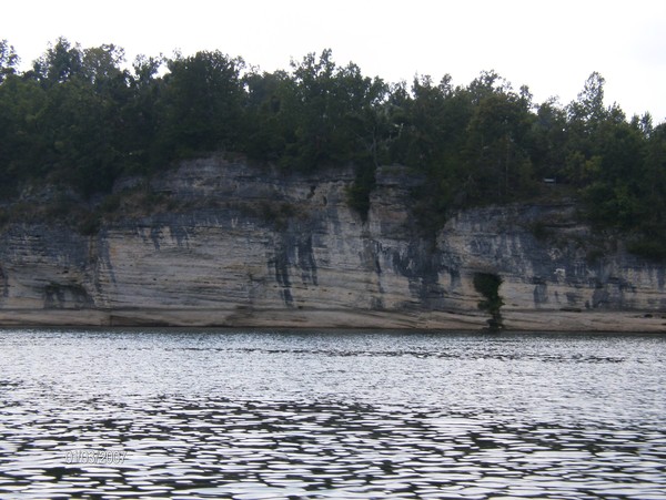 Arkansas Beauty