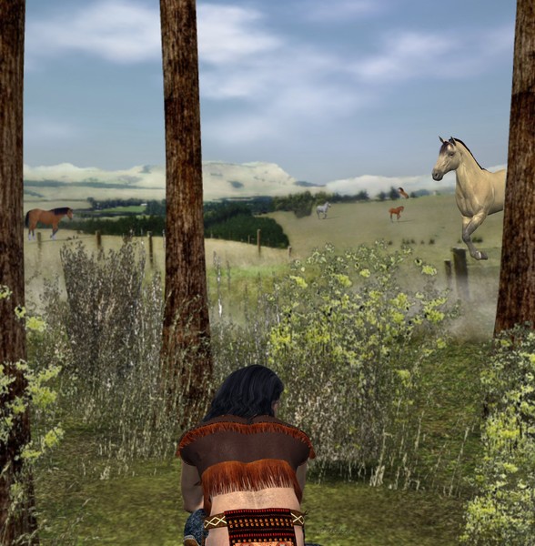 watching the horses