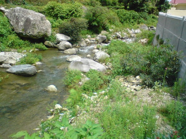 Serenity