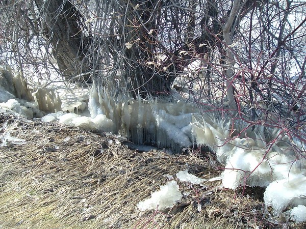 Ice Candles