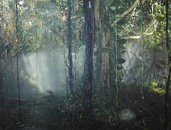 under the haze