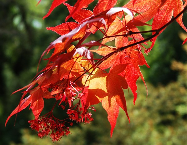 Spring Colours