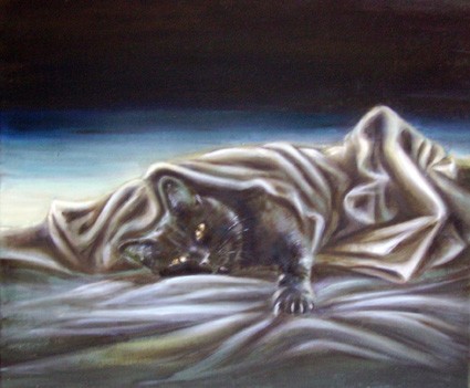 The cat