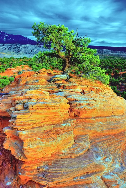 Behind the Rocks