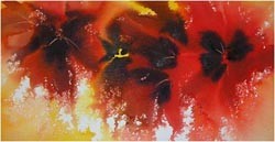 poppies IV