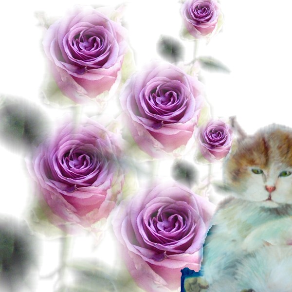 cat with the roses