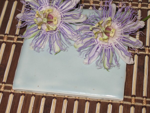 Passion Flower