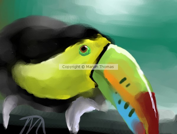 BirdSpeedPaint