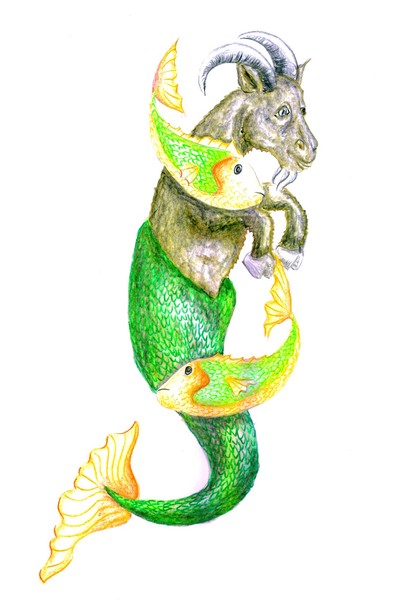 ZODIACS 1