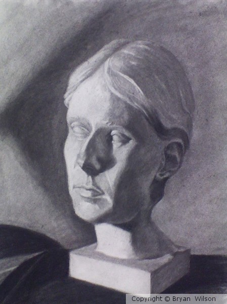 plaster cast head