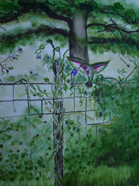 hummingbird
