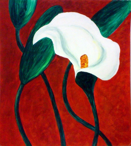 Calla's