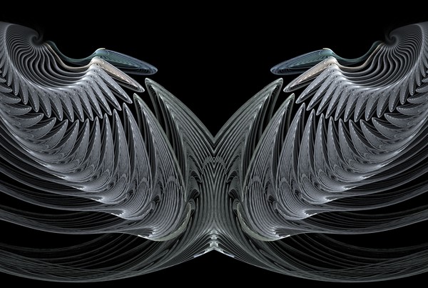 Shells 35