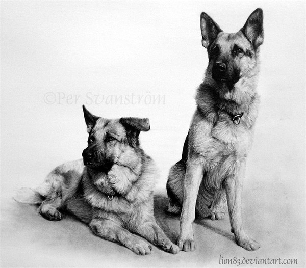 Zeb and Ricco