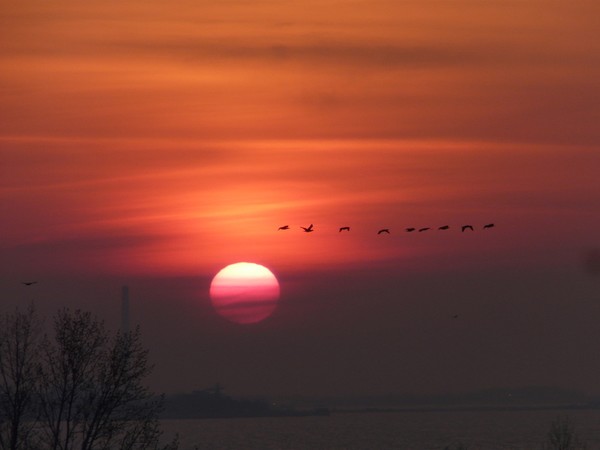 Sunrising Flight