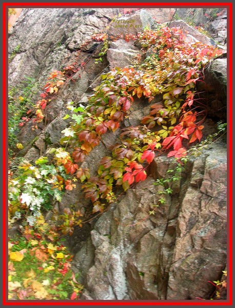 Septemberbliss2008-
