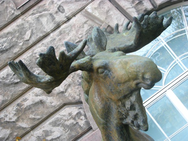 Elk statue