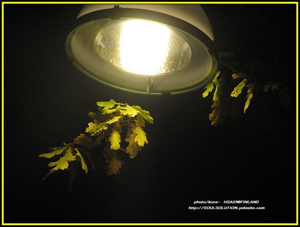 ..nightlight...