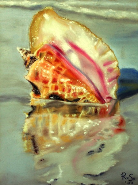 Solitary Conch