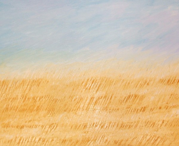 Field of Dreams