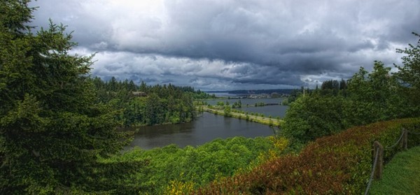 Capitol Lake, Olympia, WA