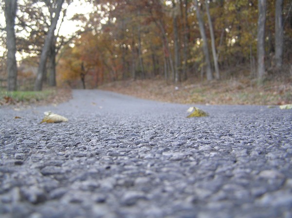 Autumn Road