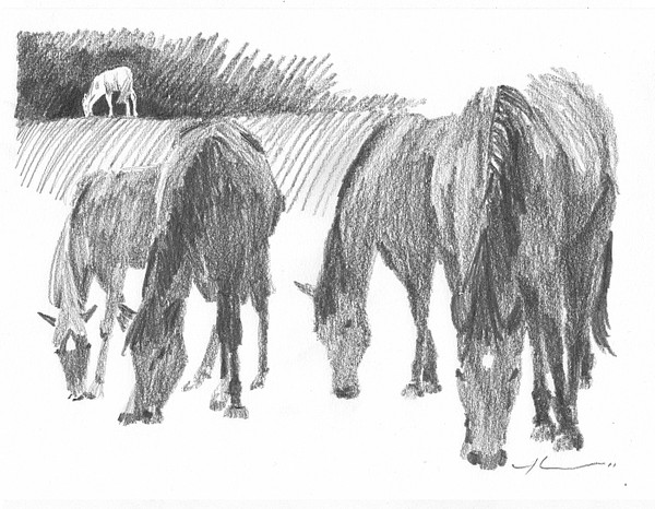 childrens book drawing1 mike theuer