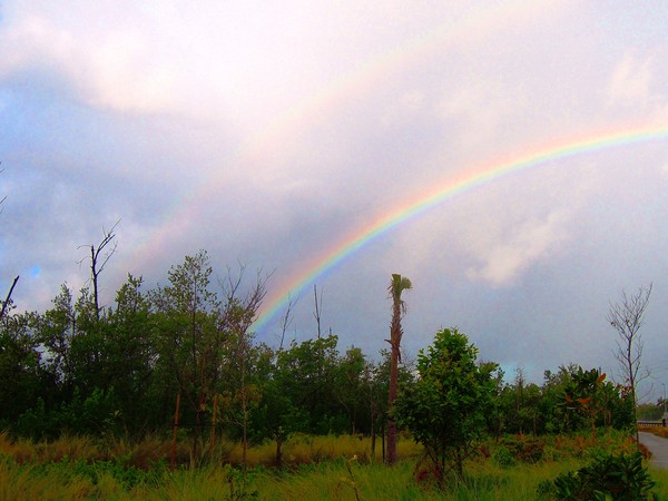 Rainbow 3/15/2012
