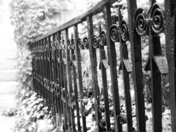 Iron Fence