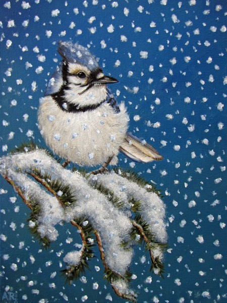 BLUE JAY IN THE SNOW