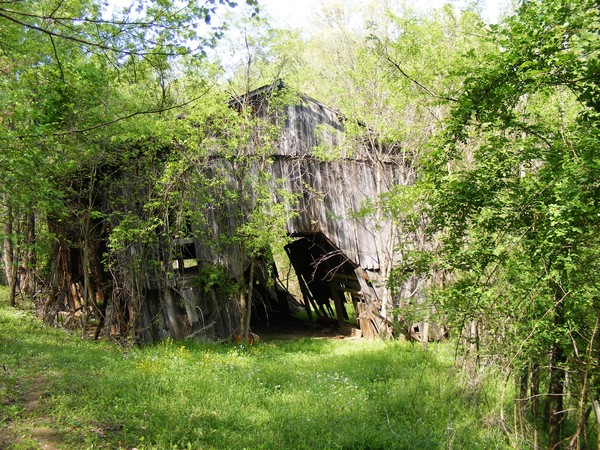 Old Barn