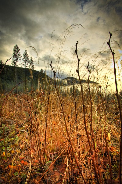 the sticks