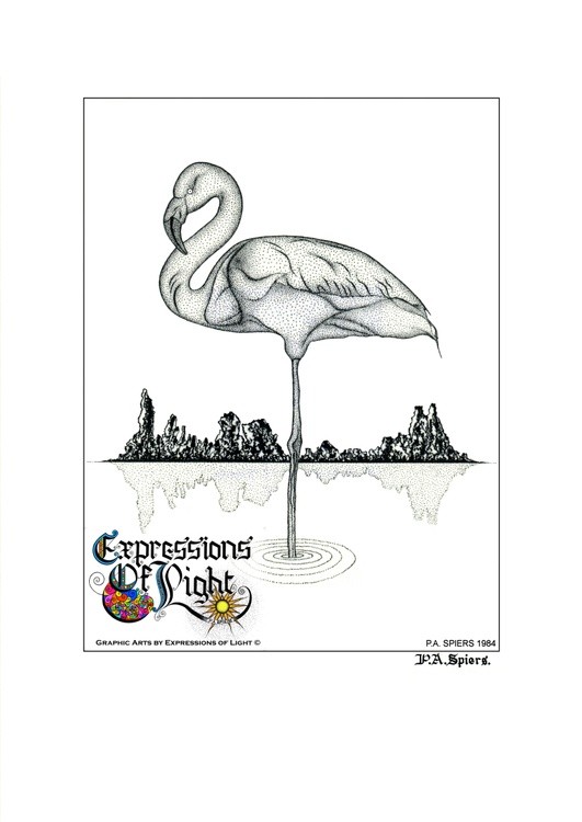ExpoLight-Graphic-Arts-Flamingo-1984-0001 (Pen-&-Ink-Mono-SP)