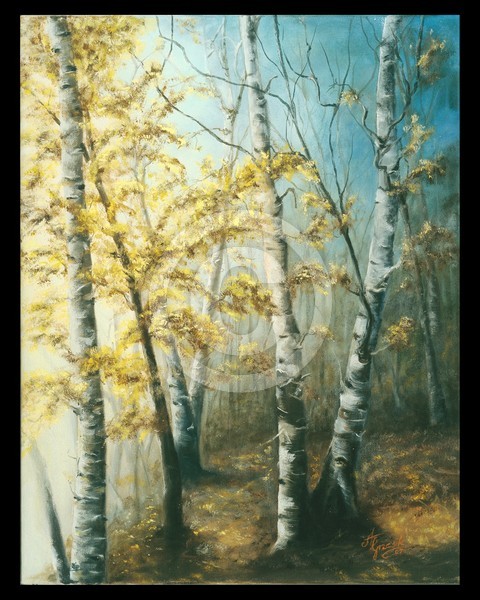 Morning Mist