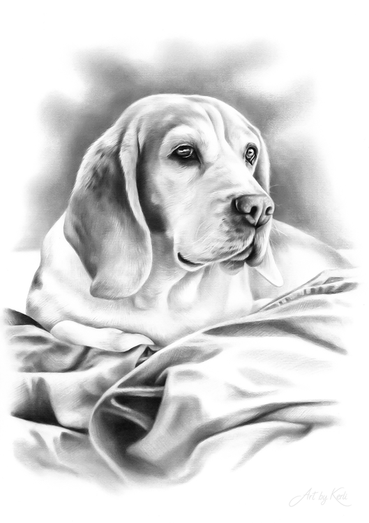 Bella