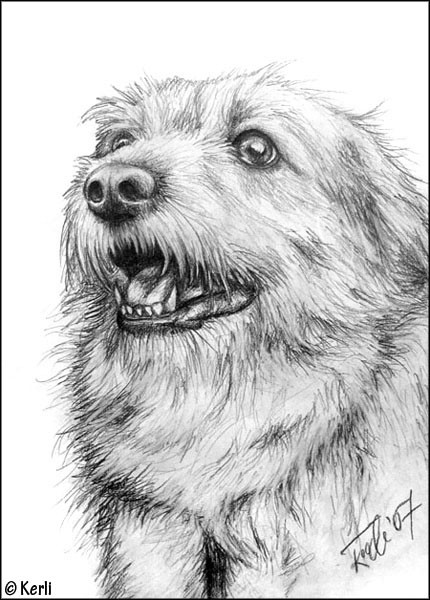 Bobi