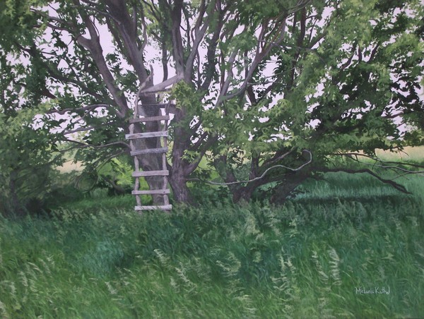 Deer Stand