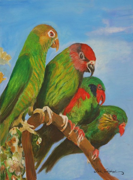 Love Birds