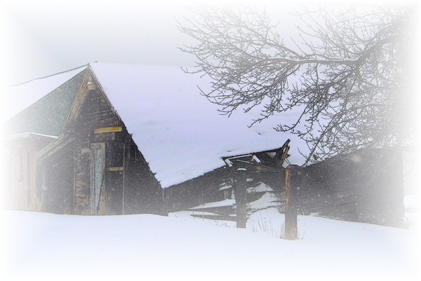 Ol Man Winter