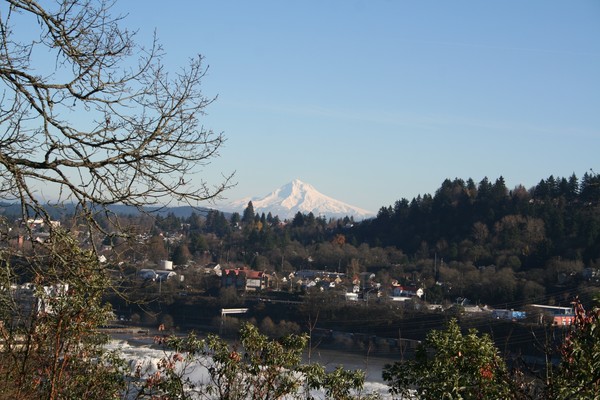 Picture_001