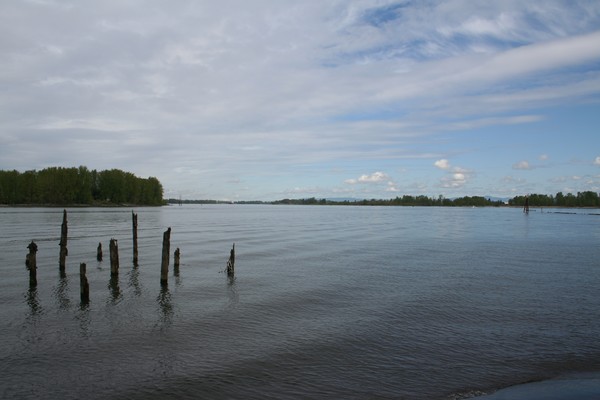Picture_036