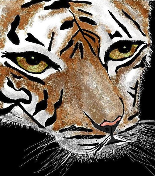 Eye of the Tiger